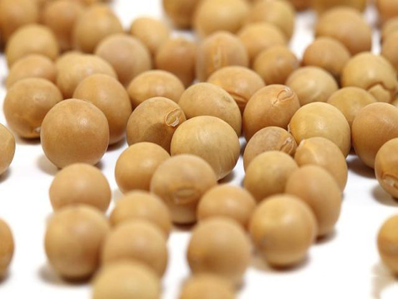 為什么美國(guó)的糧食賠錢也要出口呢？